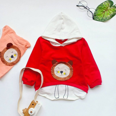 Sweater hodie lion funny (420202) - sweater hodie anak (ONLY 5PCS)